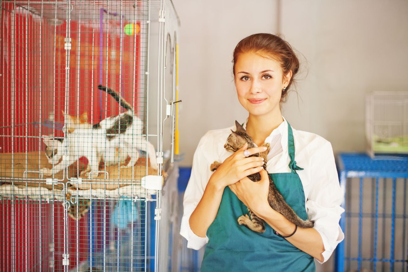 Animal Shelters near me and Adoption Benefits | SmartGuy