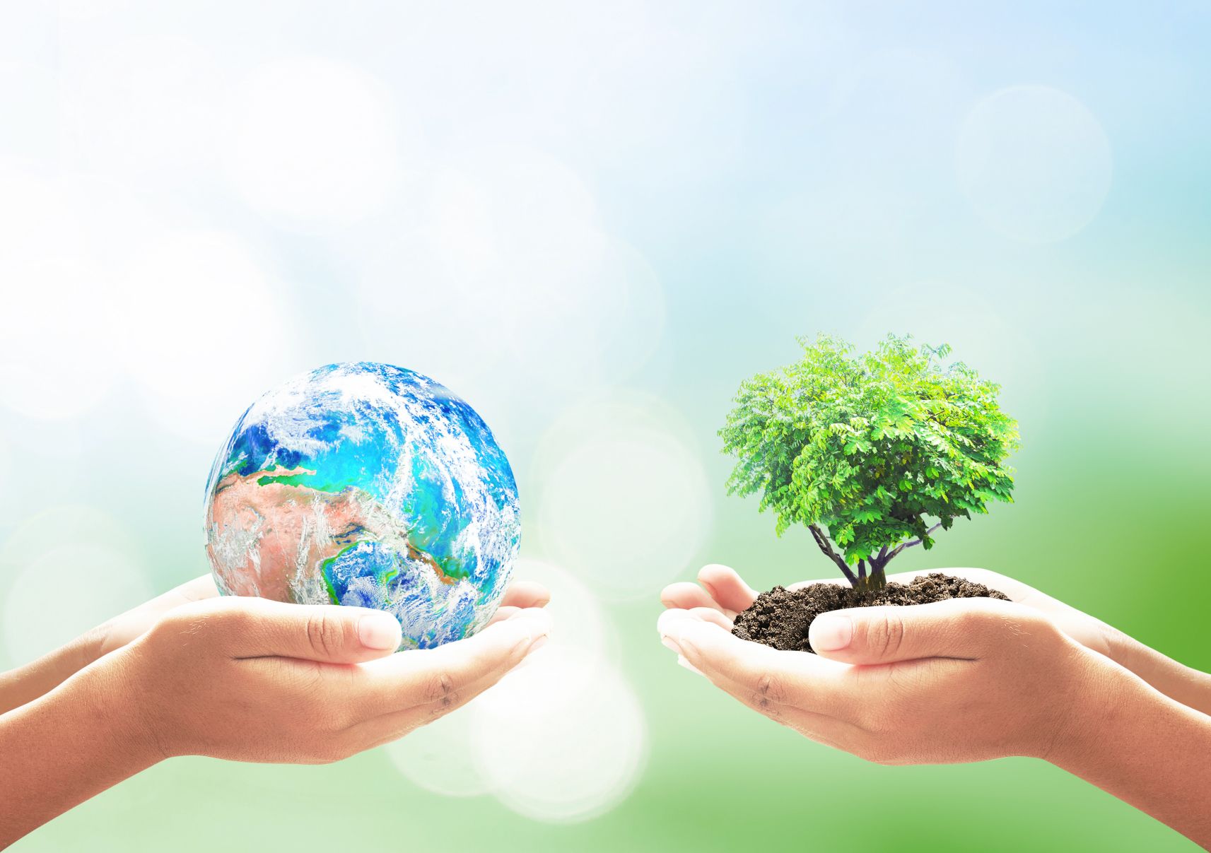 Environmental & Ecological Services