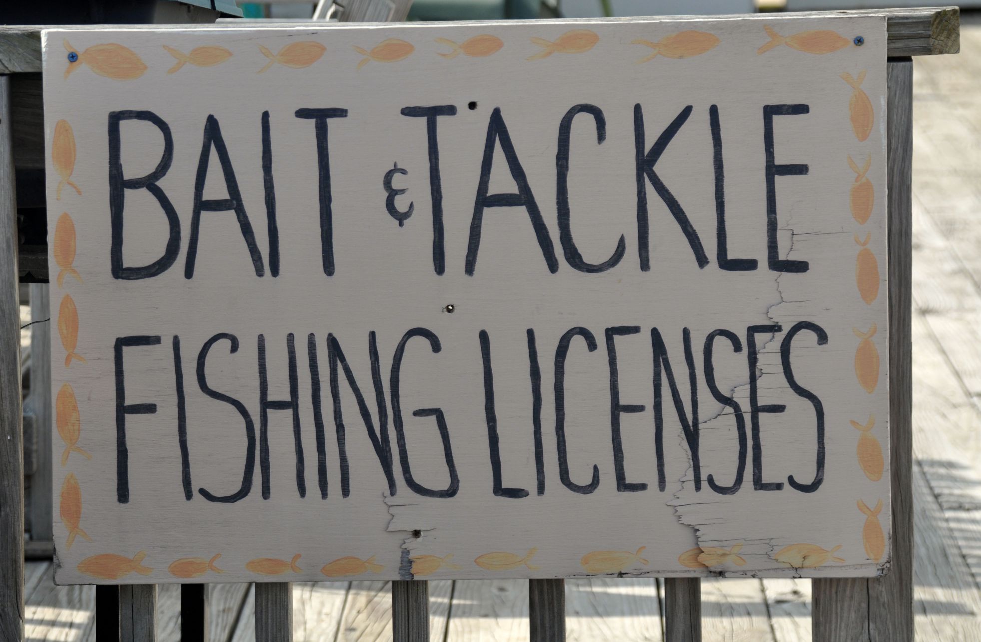 Fishing Licenses