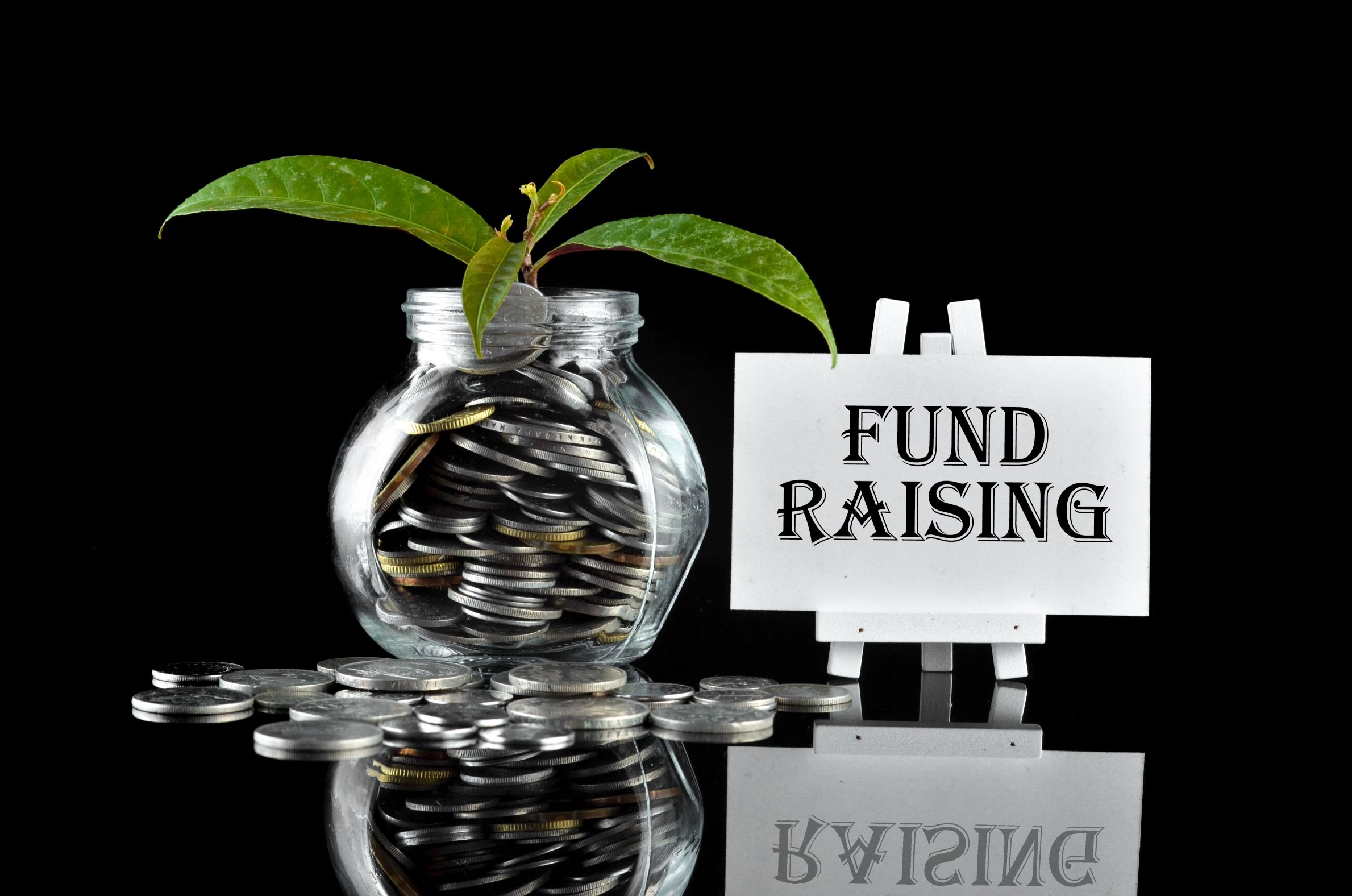 Fund Raising Counselors & Orgs