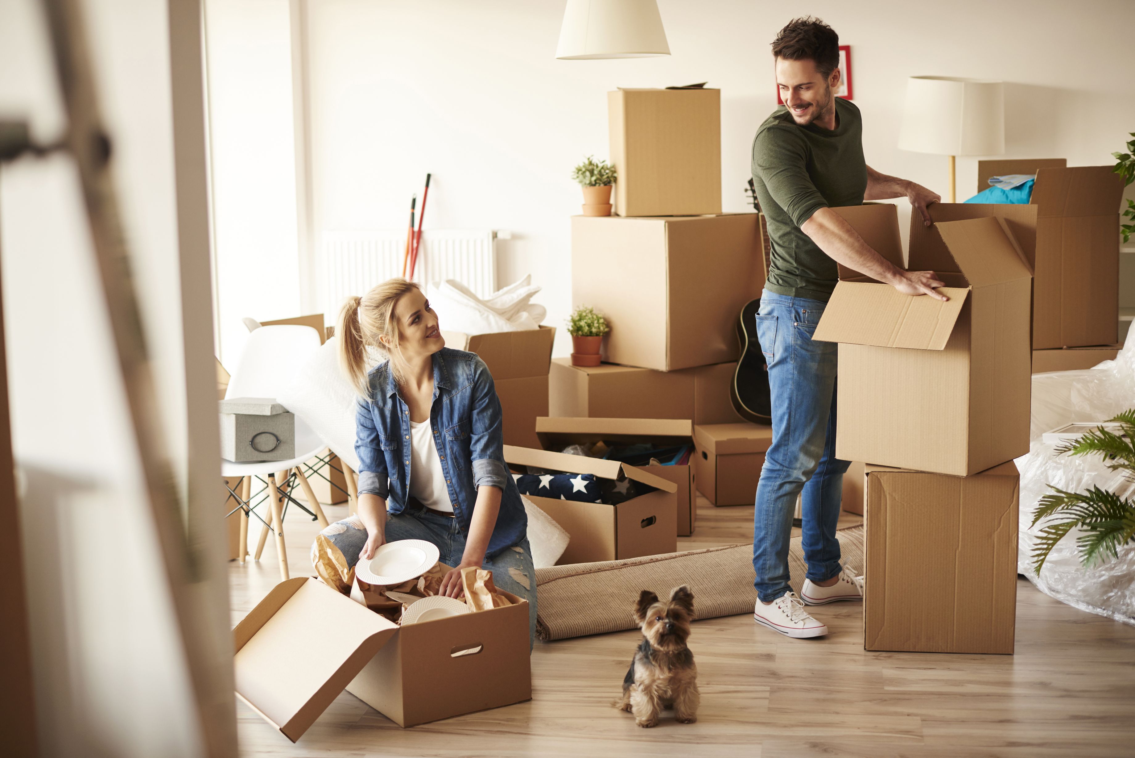 Finding Reliable Moving Companies And Avoiding Scams | SmartGuy